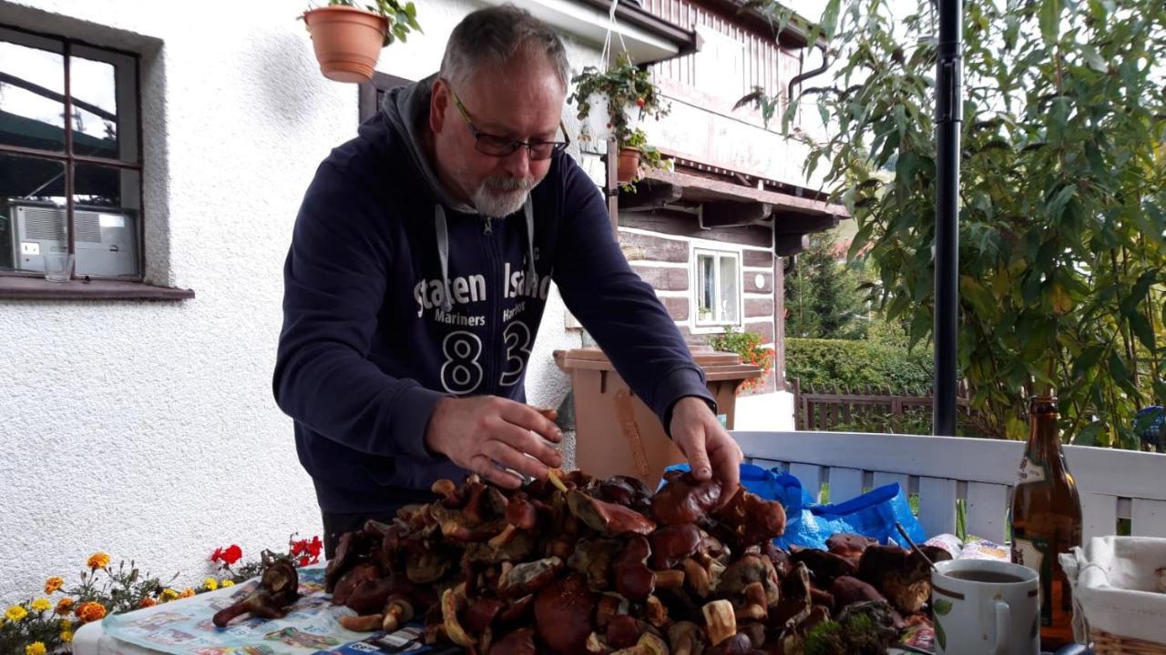 Chalupa Pod Lysou - Apartma 4Rooms Rokytnice nad Jizerou Kültér fotó